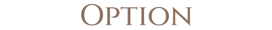 Option